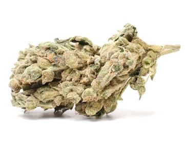 Humboldt Growers Network - Goosfraba 14g