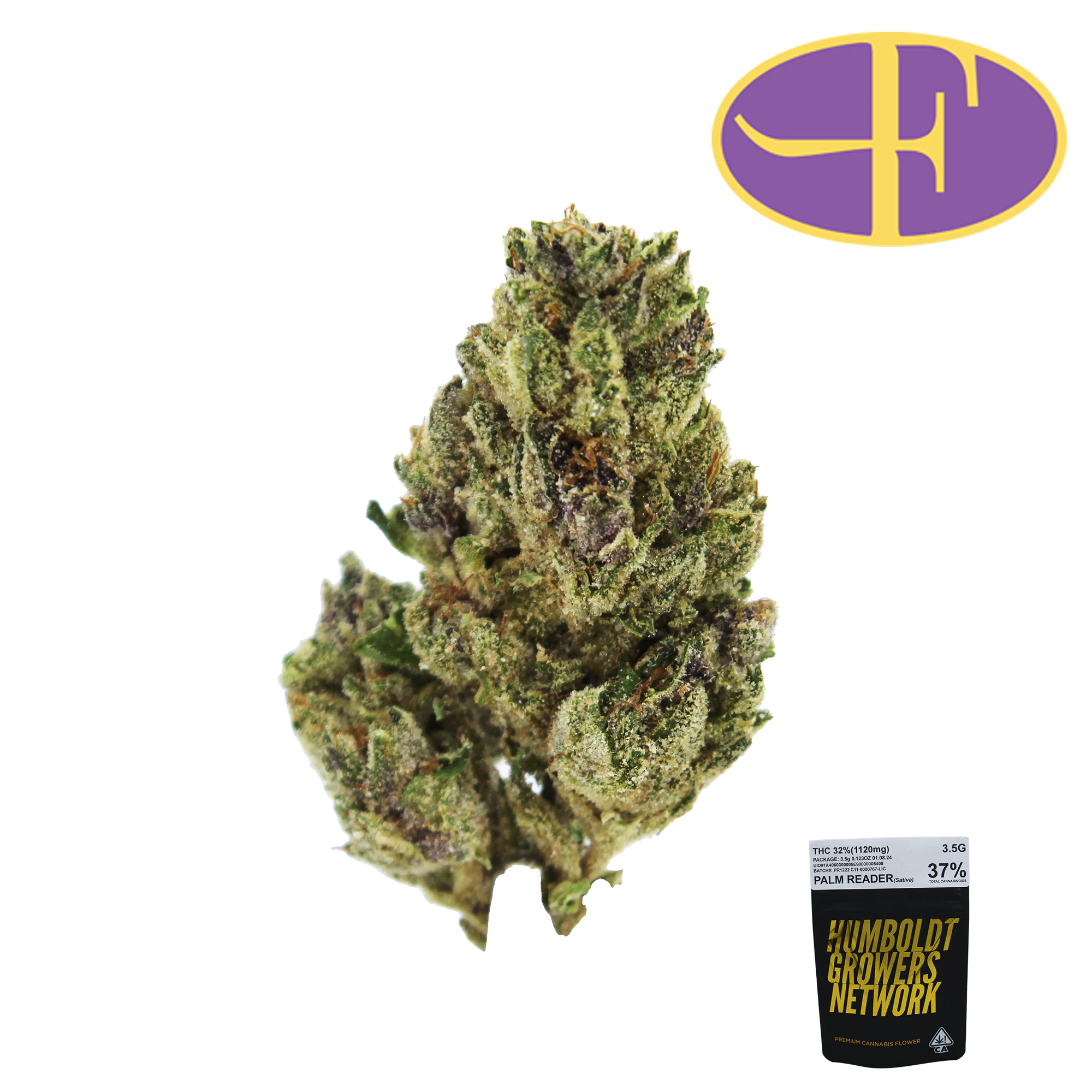 Humboldt Growers Network - Palm Reader Main Image