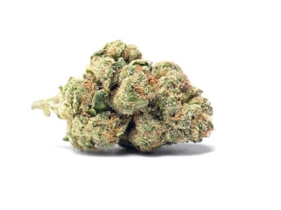 GREEN LINE - Greenline | Pablo's Revenge | 14g