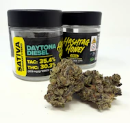 Hashtag Honey - Daytona Diesel - 3.5g