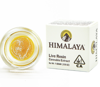 HIMALAYA - Himalaya | Cheetah Piss | Live Resin Terp Sugar | 1g