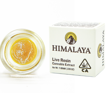 HIMALAYA - Himalaya | Shake Shake | Live Resin Terp Sugar | 1g