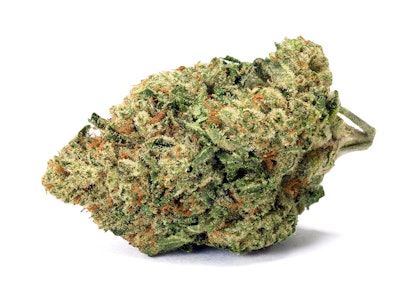 UpNorth - UpNorth | Panama Red | 3.5g