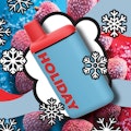 Holiday | Staycation | 1g AIO