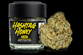 Hashtag Honey - Pack Mule - 3.5g