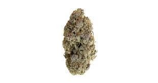 Flo - HOOCH 1/8oz Main Image