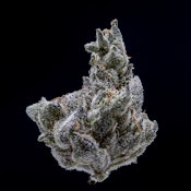 Jar Co. | Han Solo Burger | 3.5g [I]