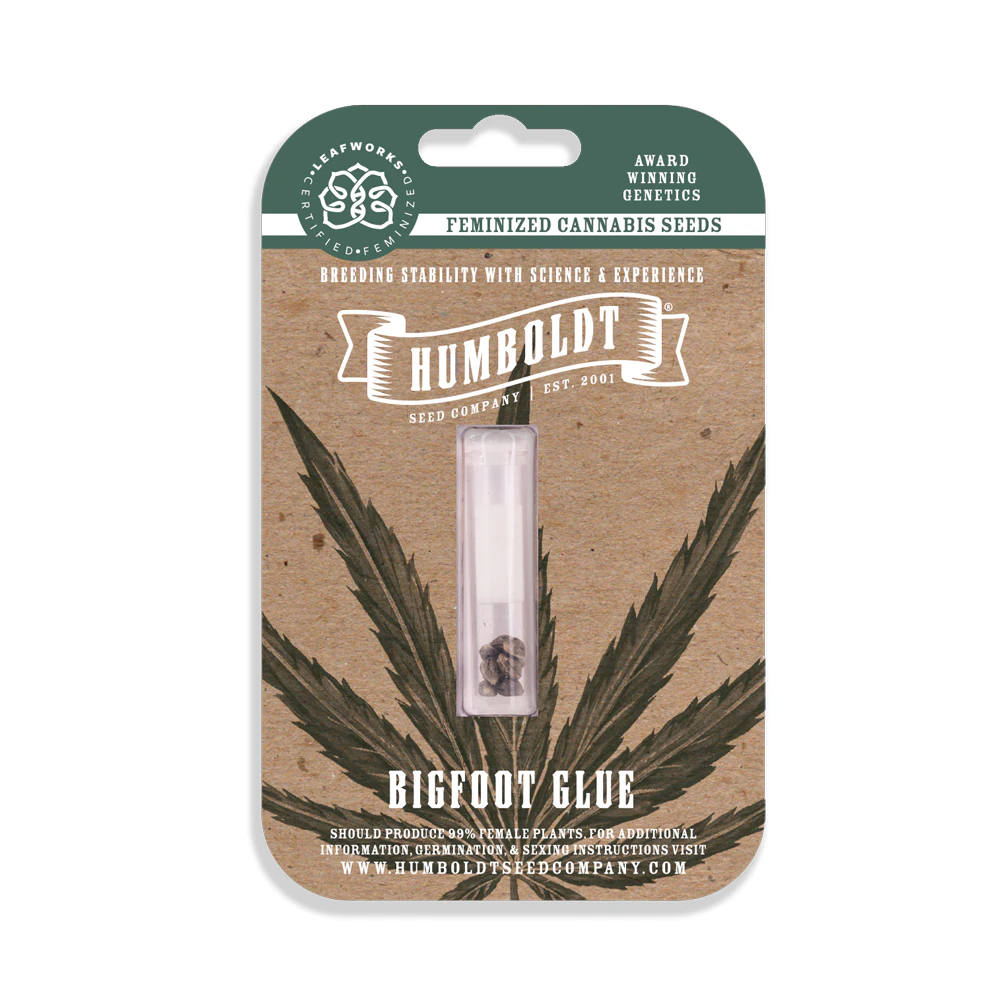 Humboldt Seed Company - HSC-3 Pack Feminized Cannabis Seeds (Bigfoot Glue-Sativa Hybrid) Main Image