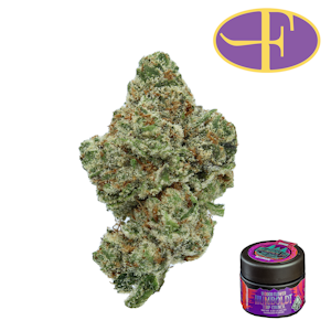 HUMBOLDT TERP COUNCIL - Gelonade