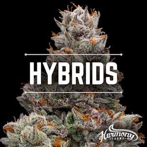 Harmony - Kush Mintz - Flower - Harmony - 14g - Hybrid