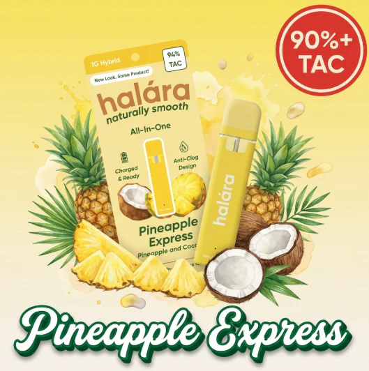 Halara - Halara | Pineapple Express | All-In-One Vape | 1g Main Image