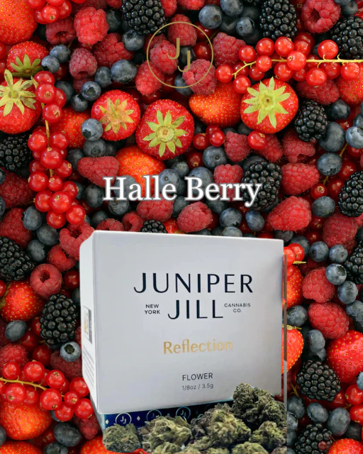 JUNIPER JILL - Juniper Jill - Halle Berry (Brilliance) - Flower - 3.5g Main Image