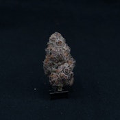 THC | Halle Berry