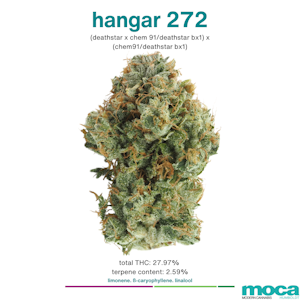 MOCA Flowers - MOCA Flowers - 1/8th Jar - Hangar 272