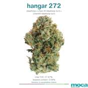MOCA Flowers - 1/8th Mylar Bag - Hangar 272