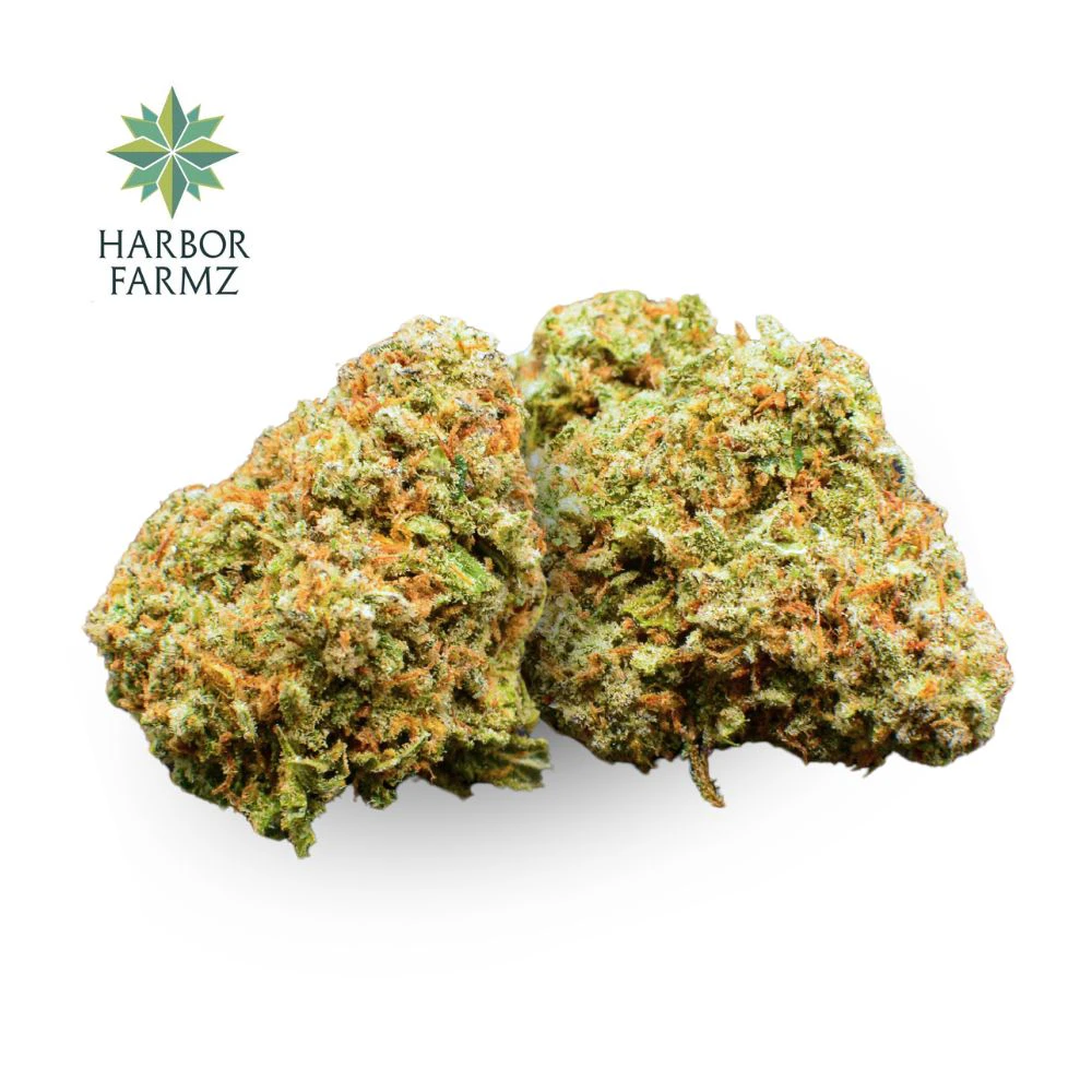 Harbor Farmz - Orange Push Pop Bulk Flower - HARBOR FARMZ Main Image
