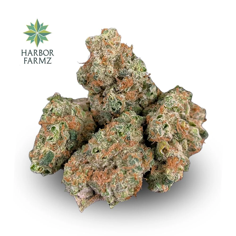 Harbor Farmz - Sherb Banger Bulk Flower - HARBOR FARMZ Main Image