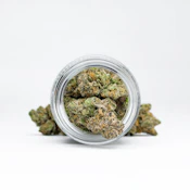 Lemon Tart - Flower - Harmony - 14g - Sativa
