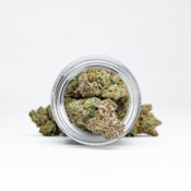 Lemon Tart - Flower - Harmony - 3.5g - Sativa