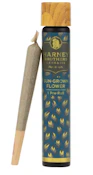 Northern Nights - 1G Preroll