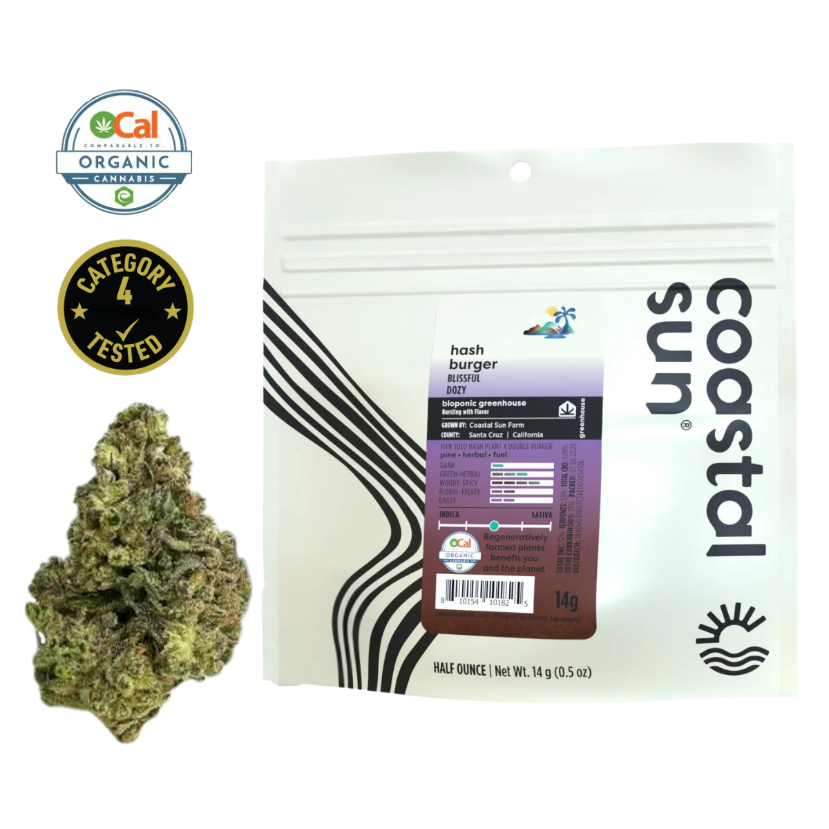Coastal Sun - Hash Burger (H) | 14g Mylar Greenhouse Flower | Coastal Sun Main Image