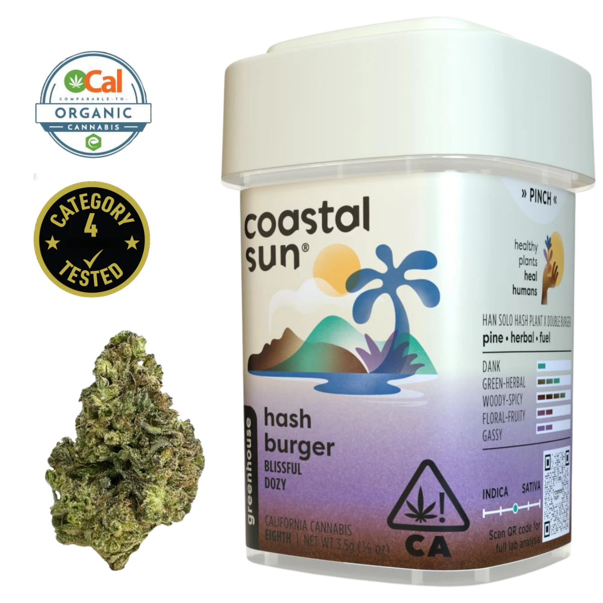 Coastal Sun - Hash Burger (H) | 3.5g Greenhouse Flower | Coastal Sun Main Image