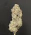 Product Preview Image 1