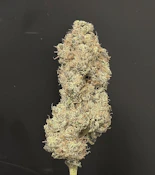 14g - Hashburger - Indica Dominant Hybrid