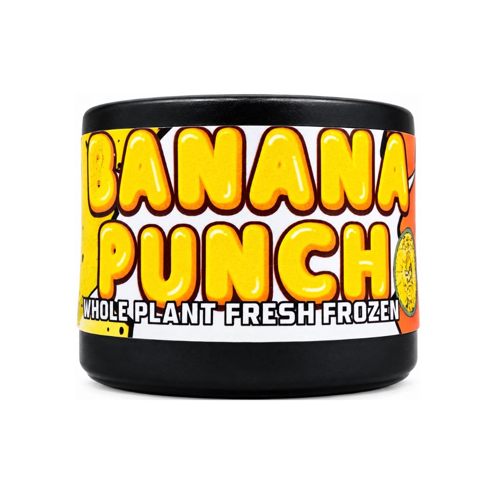 BANANA PUNCH ROSIN 1G - HASH AND FLOWERS