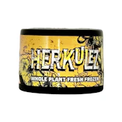 HERKULEZ ROSIN 1G - DOPE AS F*CK