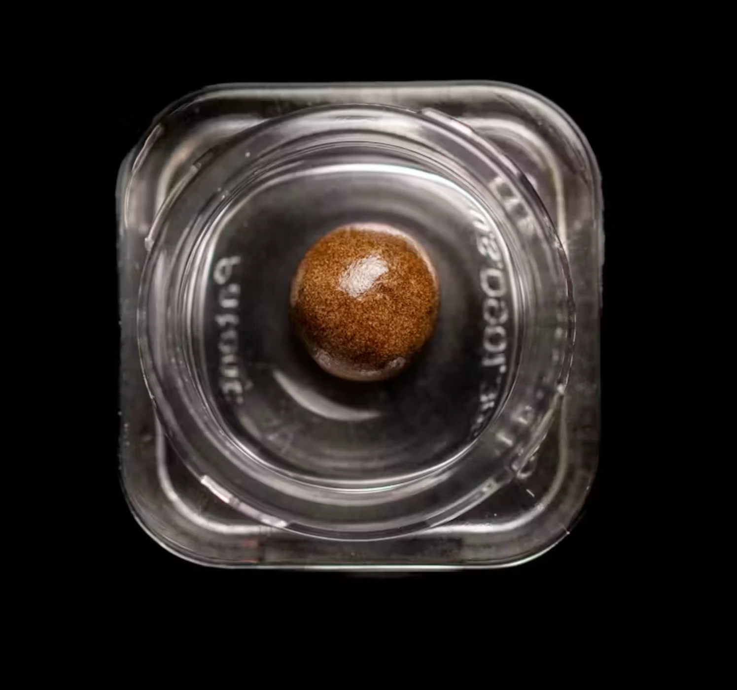 JAR Cannabis Co. - 2g Hashish | Blue Slushie Main Image