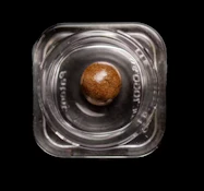 Hashish | Wedding Pie | 2g