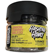 Lemon Cherry Gelato (I) 28g - 1oz - Flower - Hashtag Honey