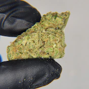 Emerald Cannabis Worx [S] | Blue Dream bbuds (0417)