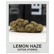 Lemon Haze