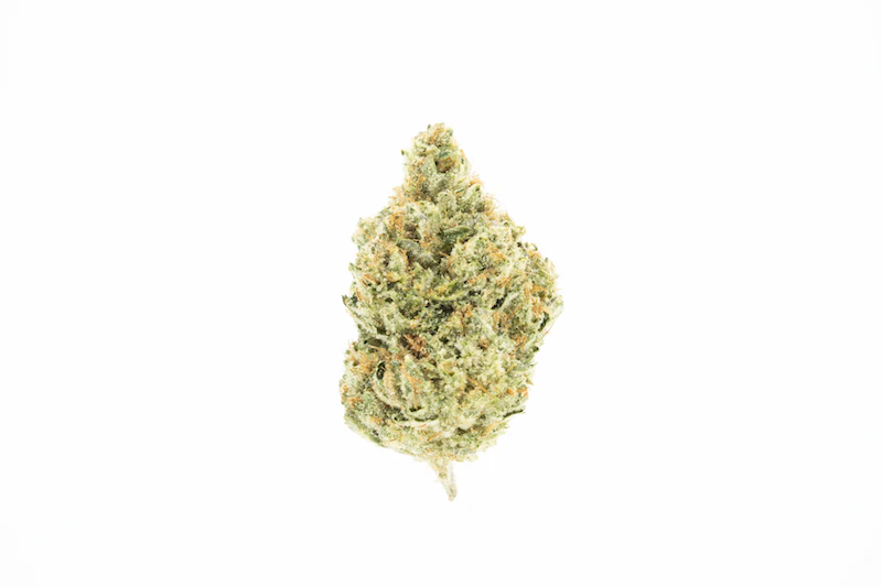 UpNorth - Headband - 3.5g (H) - UpNorth Main Image