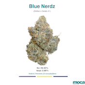 MOCA Flowers - 1G Smalls - Blue Nerdz