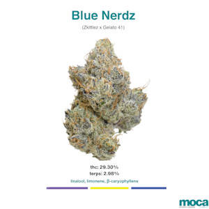 MOCA Flowers - MOCA Flowers - 1G Smalls - Blue Nerdz