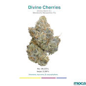 MOCA Flowers - Smalls 1/4 Bag - Divine Cherries