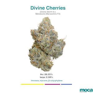 MOCA Flowers - MOCA Flowers - Smalls 1/4 Bag - Divine Cherries