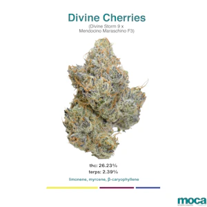 MOCA Flowers - MOCA Flowers - 1G Smalls - Divine Cherries
