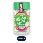 Jeeter - Baby Jeeters - Prickly Pear - Infused Preroll Pack - 5pk - 2.5g