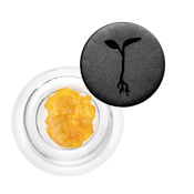 Hella Jelly (H) | 1g Live Badder Concentrate | Raw Garden