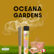 Oceana Gardens Jelly Rancher Live Resin Preroll 1g