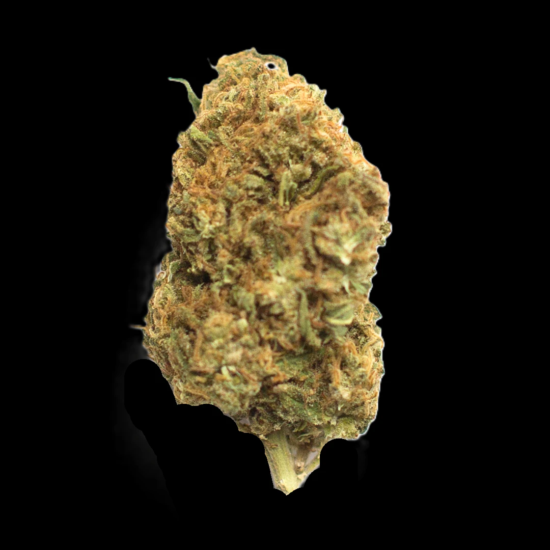 Rollz - Hella Jelly - Buds Main Image