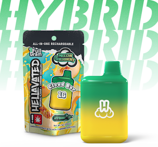 Hellavated - Melon Sherbert, Flavored Distillate Disposable, 1g