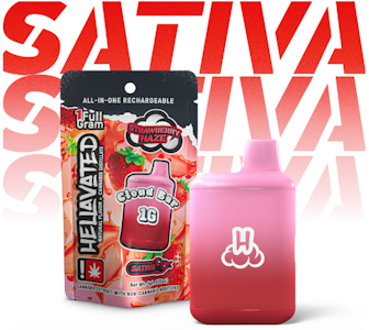 Hellavated - Strawberry Haze, Flavored Distillate Disposable, 1g