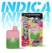 Wateryer Melon, Flavored Distillate Disposable, 2g