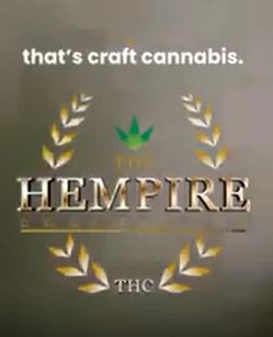 The Hempire Collective - Hempire Collective- Blueberry Pancakes 1g Concentrate Main Image