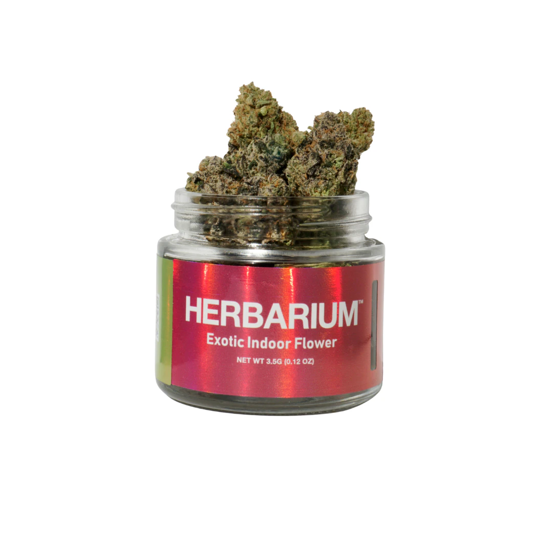 Herbarium - Herbarium | Jack Herer | Sativa 3.5g (JAR) Main Image